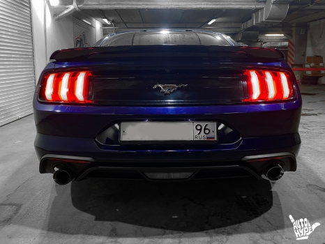  Ford Mustang. Замена ремней _7